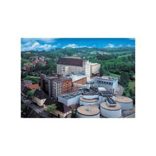 Durst Munich 40 Ebc Malt- 55 Lb Bag Whole