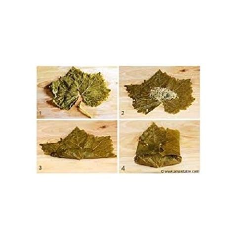 Ziyad Grape Leaves - Pack Of 4 Jars - 16Oz/454G - Tender Leaves