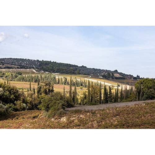 Premium Greek Red Wine Vinegar | 16.9 Oz | Organic | Non-Gmo | G