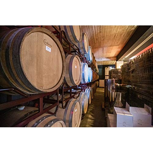 Premium Greek Red Wine Vinegar | 16.9 Oz | Organic | Non-Gmo | G