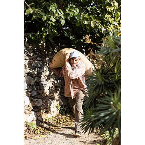 Usda Certified Greek Organic Extra Virgin Olive Oil | 16.9Oz | N