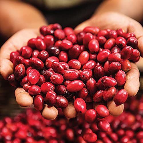 Green Mountain Coffee Roasters Caramel Vanilla Cream, Ground Cof