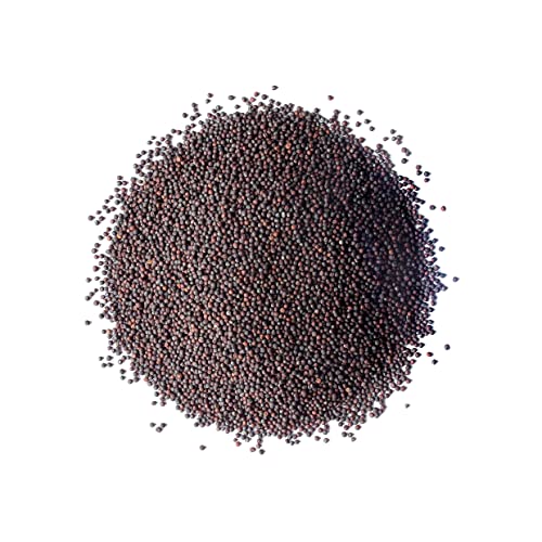 Broccoli Seeds for Sprouting, 1 Pound – Non-GMO Verified, Vegan,...