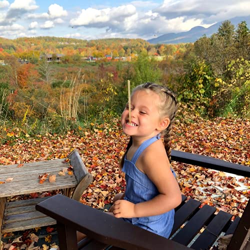 Groove Clover Honey Sticks | 50 Pack | All Natural - Local - Pur