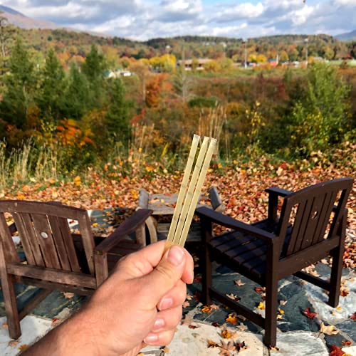 Groove Clover Honey Sticks | 50 Pack | All Natural - Local - Pur