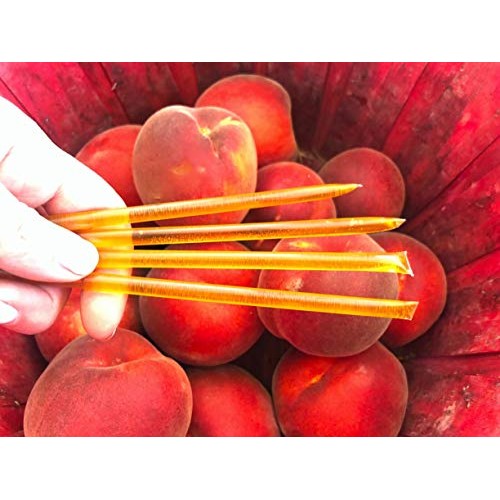 Worlds Best Honey Sampler Pack 22 Flavors | Healthy, High Ene