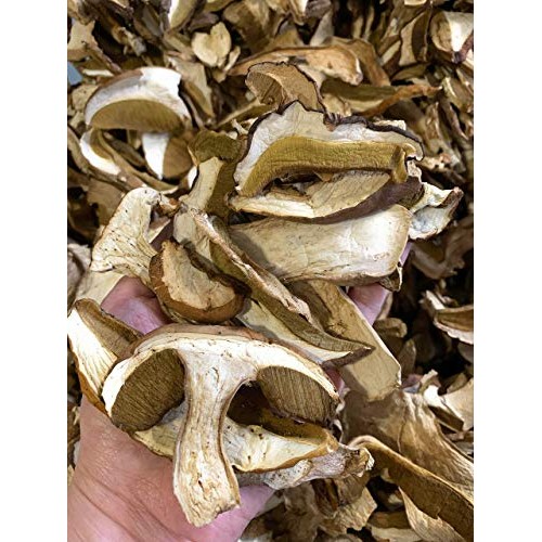 Wild Dried Porcini Mushrooms By Golden Tea Leaf Co - Boletus Edu