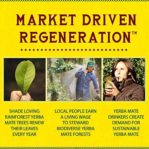 Guayaki, Tea Yerba Mate Lemon Elation Organic, 16 Fl Oz, 12 Pack