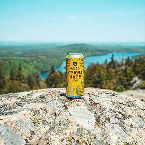 Guayaki Yerba Mate, Organic Drink, Bluephoria, 15.5 Ounce Cans
