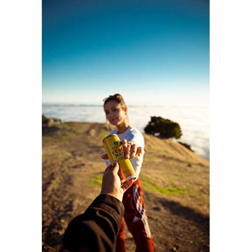 Guayaki Yerba Mate, Classic Gold, Organic Sparkling Alternative