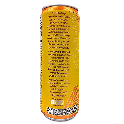 Guayaki Yerba Mate Classic Gold Sparkling Mate, 12 Fluid Ounce -