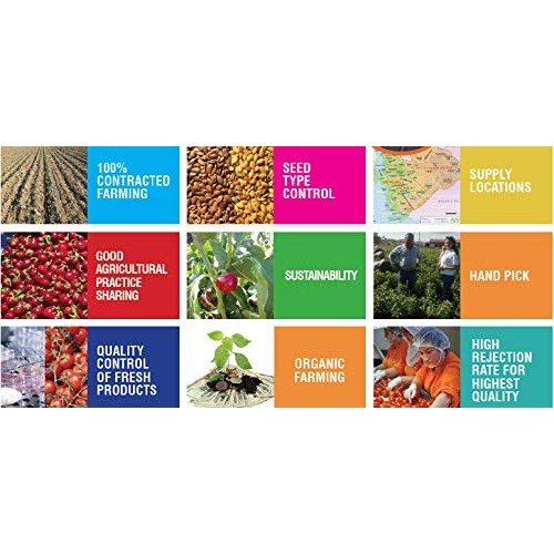 Gurme212 Premium 4.4 Lbs Stuffed Vine Leaves Dolmades With Oli