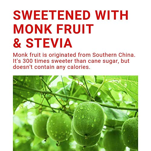 Guru Lite Organic Energy - Low Sugar Vegan Drink With Green Tea,