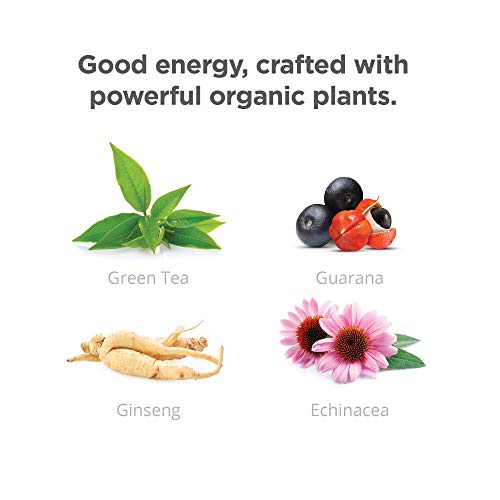 Guru Organic Energy Drink With Green Tea &Amp; Guarana, 8.4 Ounce P