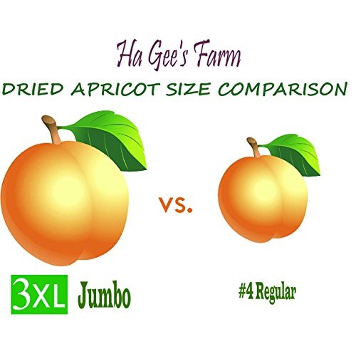 No.4 Extra Choice Dried Apricots, Turkish Apricots, Size #4 1 Lb