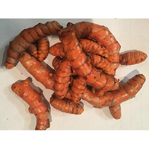 Fresh Organic Turmeric Root - 2 Lb Whole Raw Root by Fijian Spic...