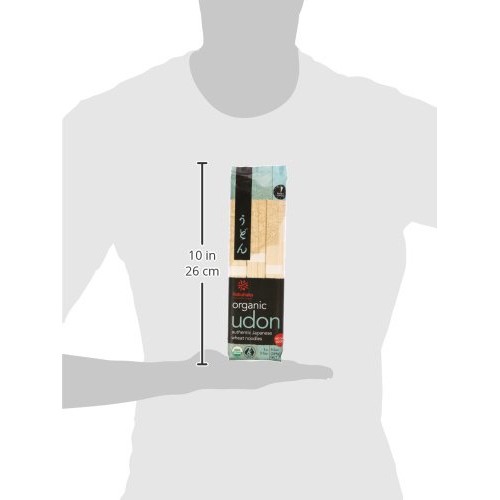 Hakubaku Organic Udon Wheat Noodle 1 X 9.5 Oz