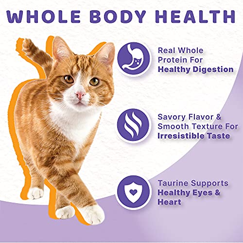 Halo Grain Free Natural Wet Cat Food, Chicken Stew, 5.5-Ounce Ca