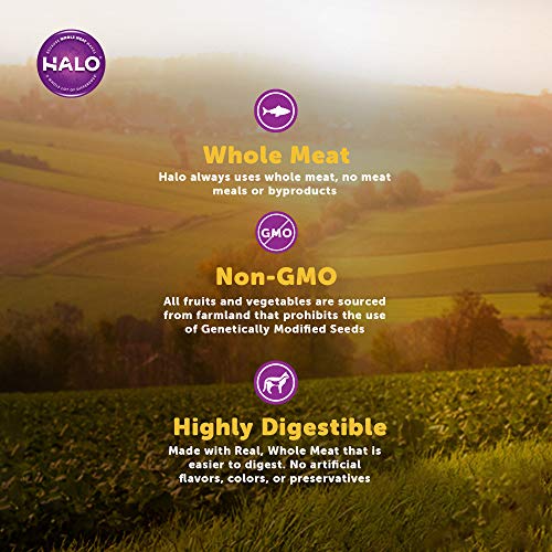 Halo Purely For Pets Spots Stew For Cats Succulent Salmon 5-1/2