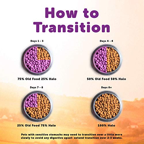 Halo Purely For Pets Spots Stew For Cats Succulent Salmon 5-1/2