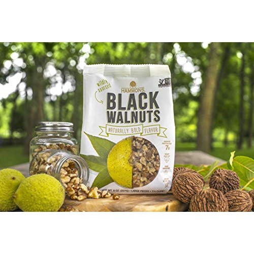 Hammons Black Walnuts, Fancy Large, 8 Oz, Highest Protein Nut, H