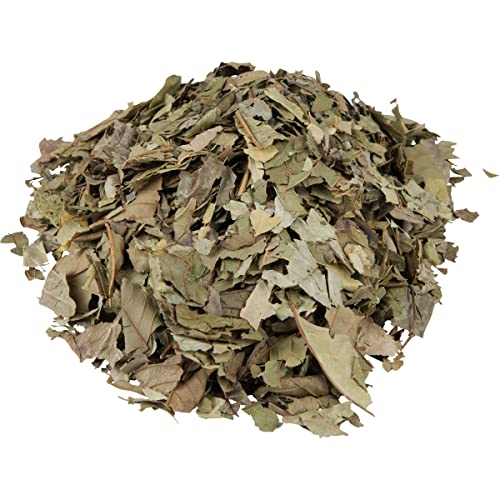 Hanan Guava Leaves 1.4oz Hojas de Guayaba 40g Loose Leaf Herba...