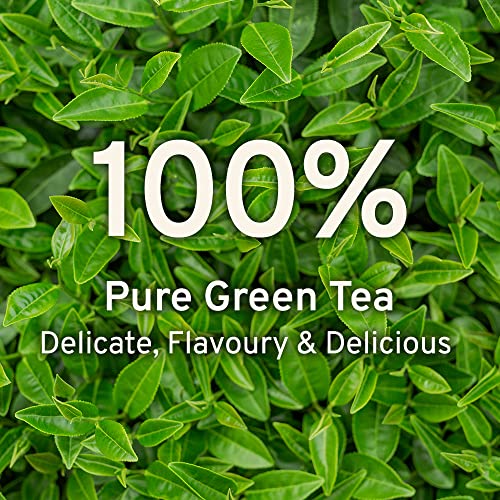 Handpick, Organic Green Tea Bags - 100 Tea Bags | Resealable Bag...