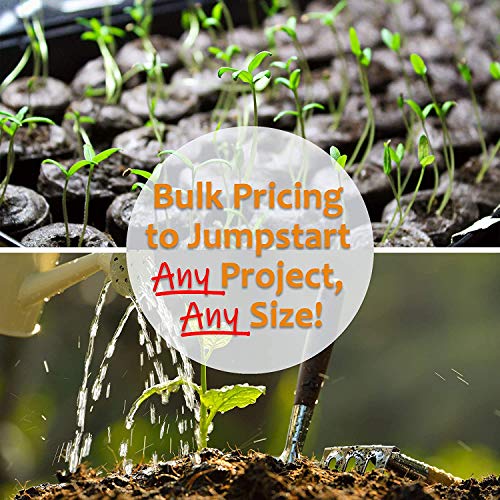 2.5 Lb Non-Gmo Organic Whole Wheat Kernels - Hard White Wheat Gr