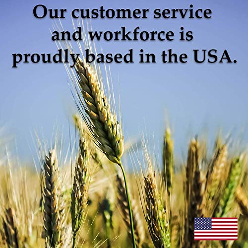 2.5 Lb Non-Gmo Organic Whole Wheat Kernels - Hard White Wheat Gr