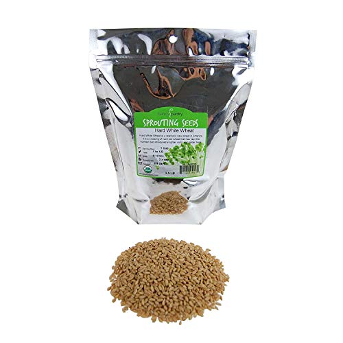 2.5 Lb Non-Gmo Organic Whole Wheat Kernels - Hard White Wheat Gr