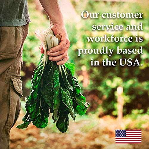 25 Lbs Organic Soybeans - Certified Organic Soy Beans For Soymil