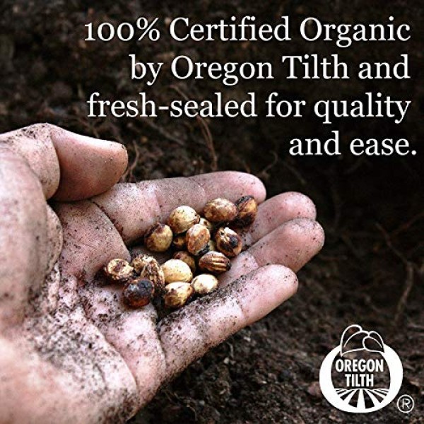 3.5 Lb Non-GMO Organic Whole Oat Groats w/ Husk - Gluten Free ...
