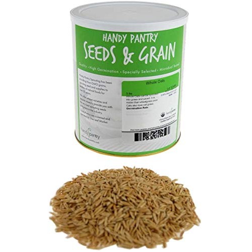 3.5 Lb Non-Gmo Organic Whole Oat Groats W/ Husk - Gluten Free