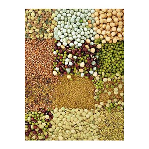 Beginners Dozen Organic Sprouting Seeds - 1 Lb Ea. of Alfalfa, B...