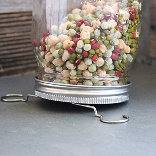 Beginners Dozen Organic Sprouting Seeds - 1 Lb Ea. of Alfalfa, B...