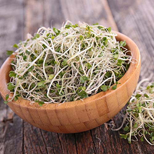 Beginners Dozen Organic Sprouting Seeds - 1 Lb Ea. of Alfalfa, B...