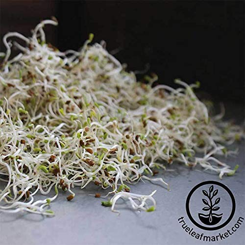 Certified Organic Alfalfa Sprouting Seed- 8 Oz - Handy Pantry Br...