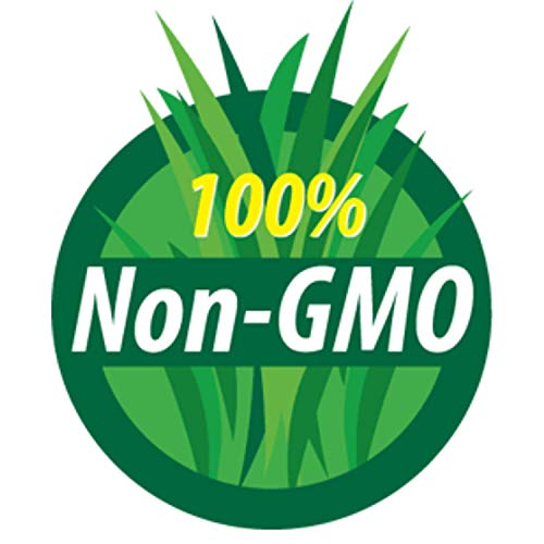 Certified Organic Dried Yellow Soybeans - 1 Lb - Perfect For Use