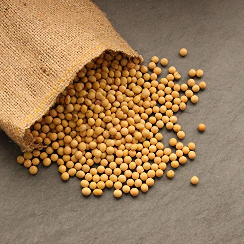 Certified Organic Dried Yellow Soybeans - 1 Lb - Perfect For Use