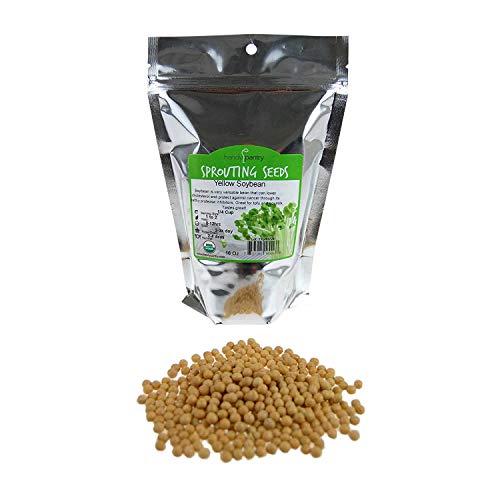 Certified Organic Dried Yellow Soybeans - 1 Lb - Perfect For Use