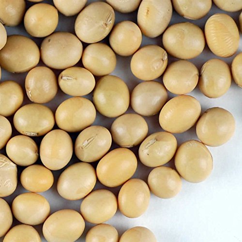 Handy Pantry Certified Organic Dried Yellow Soybeans - 5 Lb - Pe