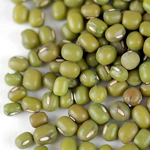 Mung Bean Sprouting Seed: 2.5 Lb - Organic, Non-Gmo - Handy Pant