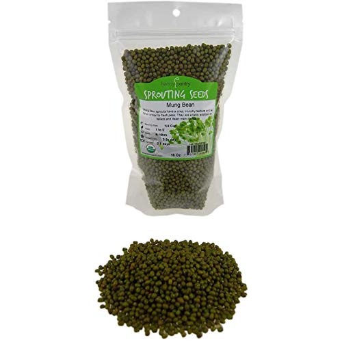 Mung Bean Sprouting Seed: 2.5 Lb - Organic, Non-Gmo - Handy Pant