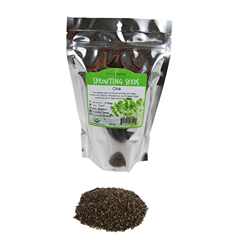 Organic Chia Seeds - 1 Lbs - Black Chia Sprouting Seeds For Grow
