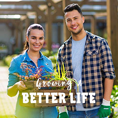 Protein Powerhouse Sprouting Seed Mix: 8 Oz - Organic, Non-Gmo -