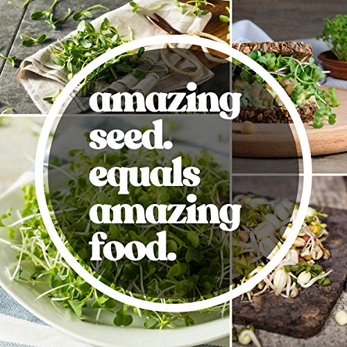 Protein Powerhouse Sprouting Seed Mix: 8 Oz - Organic, Non-Gmo -