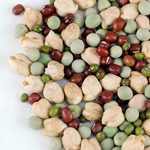 Protein Powerhouse Sprouting Seed Mix: 8 Oz - Organic, Non-Gmo -