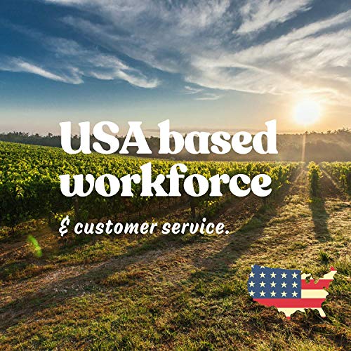 Purple Barley Seeds - Certified Organic - 2.5 Lb Pouch - Handy P