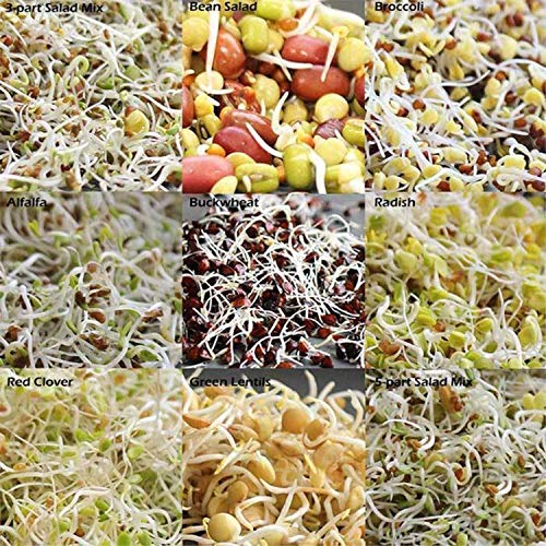 Sprouting Seed Super Sampler- Organic- 2.5 Lbs of 10 Different D...