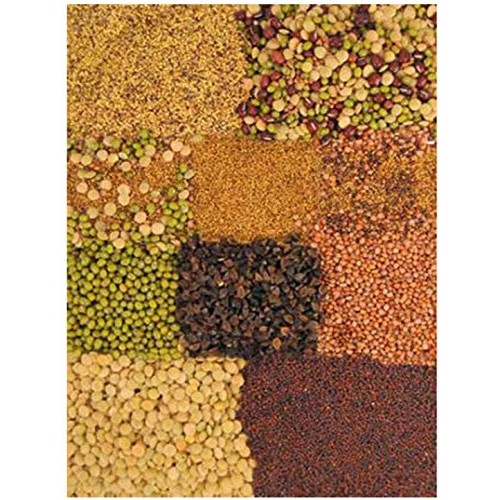 Sprouting Seed Super Sampler- Organic- 2.5 Lbs of 10 Different D...